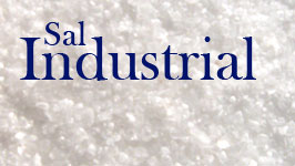 sal industrial
